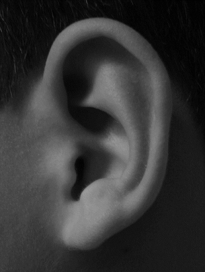 ear