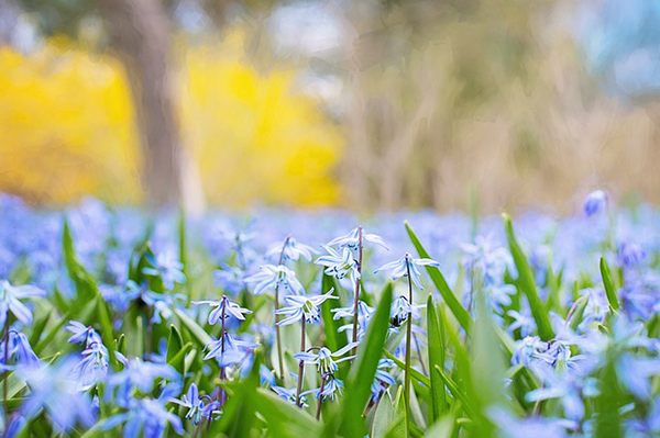 Welcome Spring Sale!