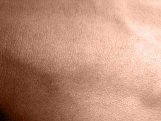 skin
