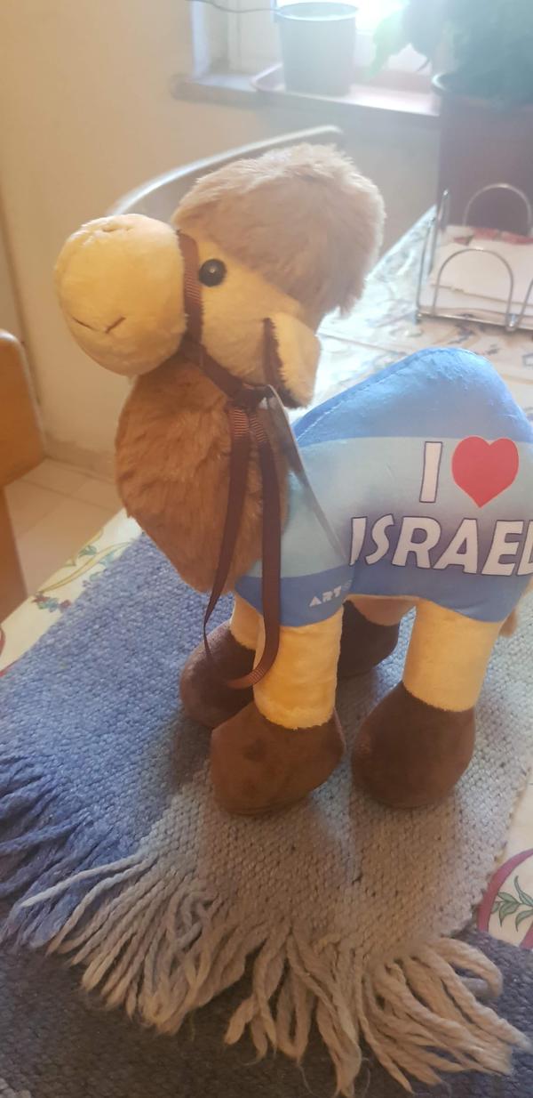 Camel from Jerusalem