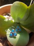 Blue lab opals earrings