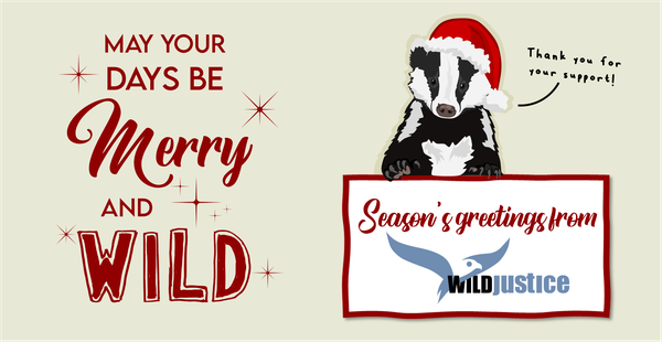 An image saying 'May your days be Merry and Wild', with a Christmas badger