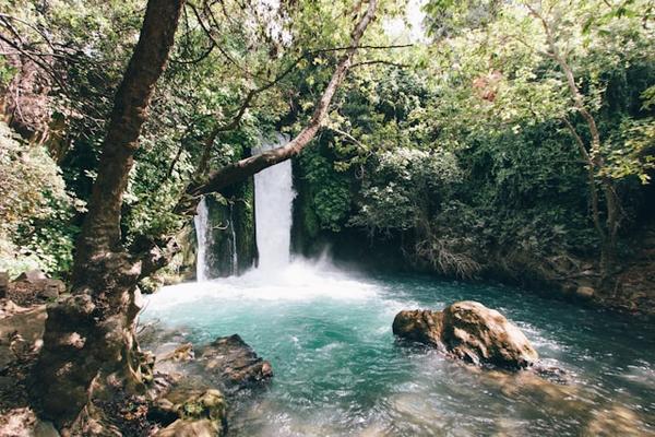 https://unsplash.com/photos/green-and-white-body-of-water-near-forest-gFSqwxMTYXw