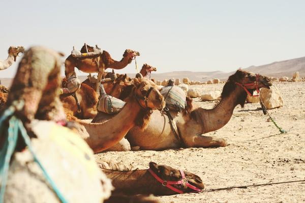Eilat, Israel