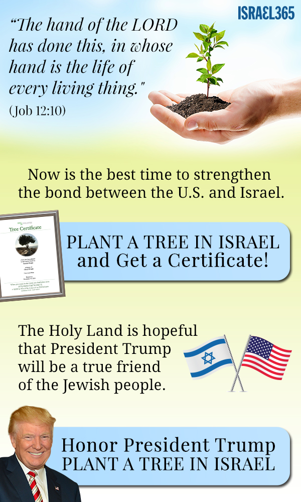 Plant a Tree!
