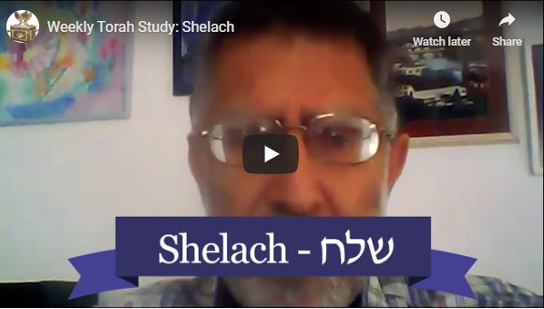 Meet Gidon in Dallas!