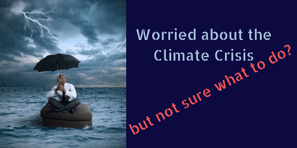 climate crisis what to do