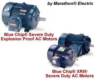 Blue Chip Severe Duty AC Motors