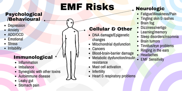 EMF Risks