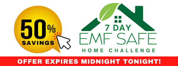 7 Day EMF Safe Home Challange