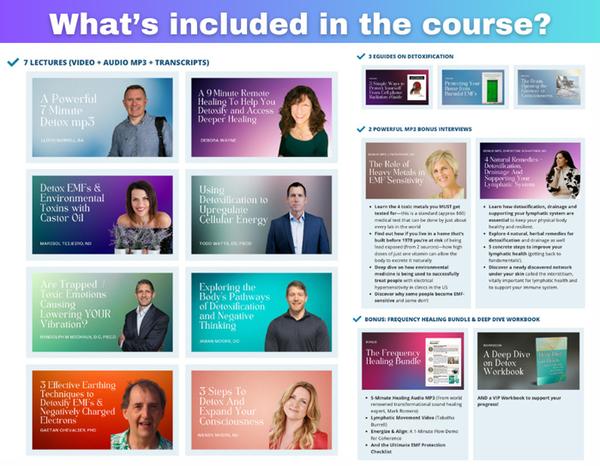 What's included in the course?