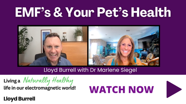 EMF's & Your Pet's Health