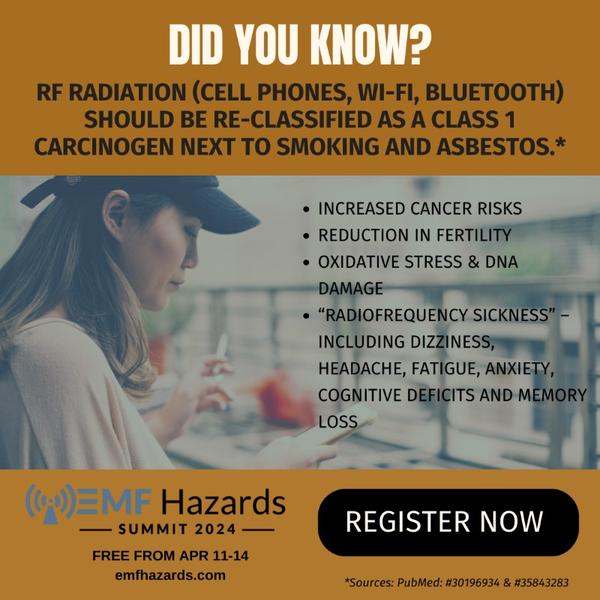 EMF Hazards Summit 2024