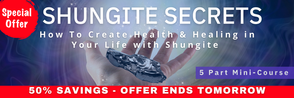 Shungite Secrets