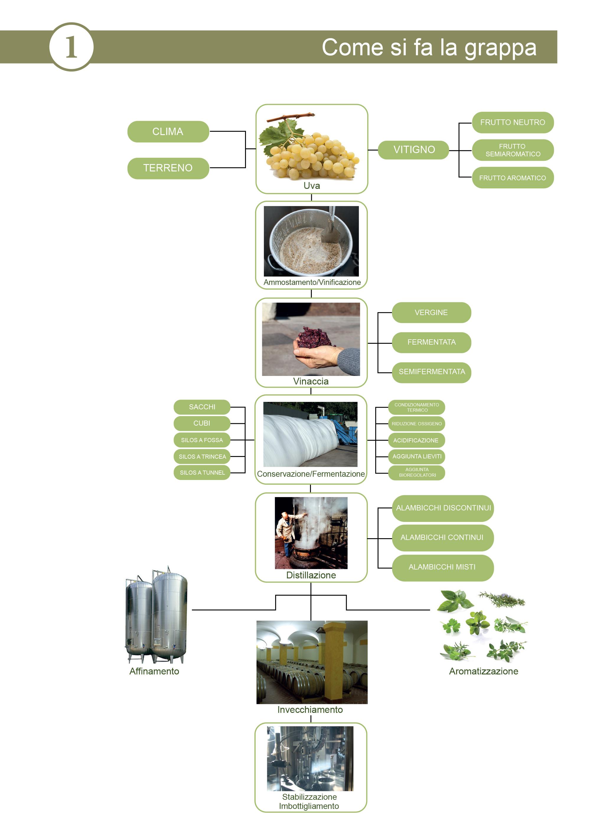 Come si fa la Grappa: ingredienti e fasi produttive - Sapori dei Sassi