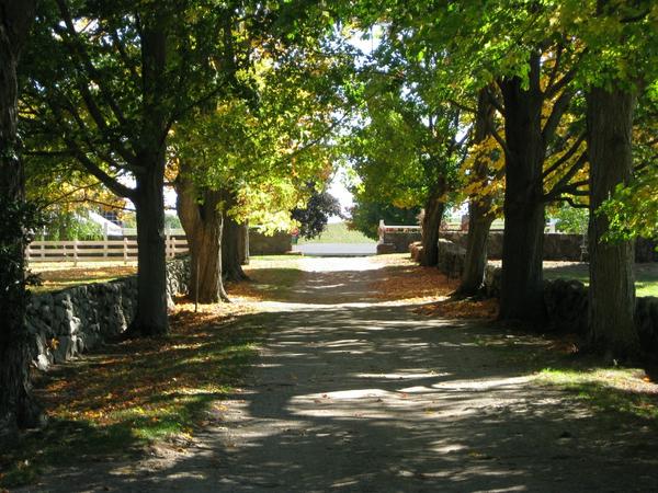 Fall Path