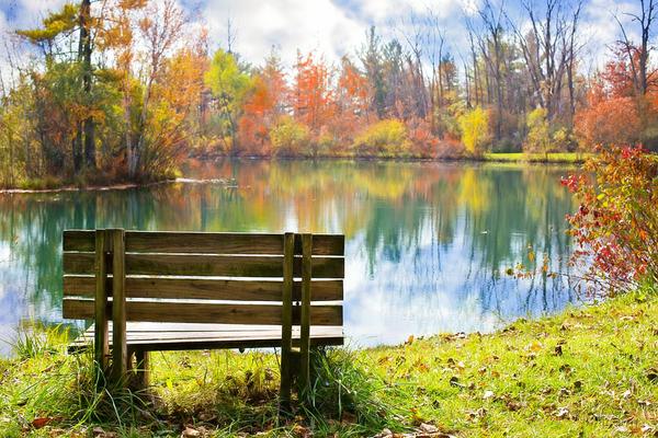bench by a fall lake