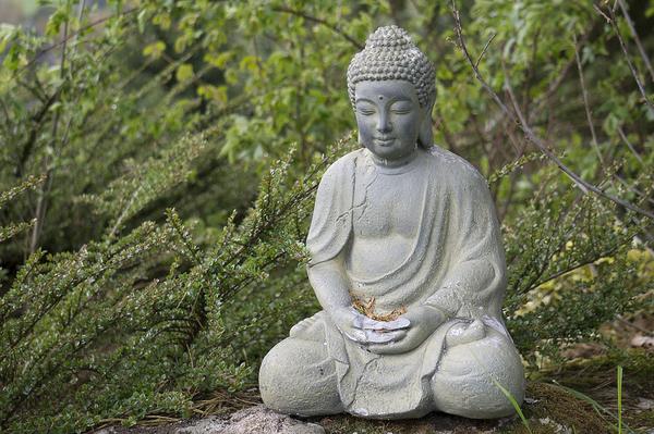Buddha statue on stone