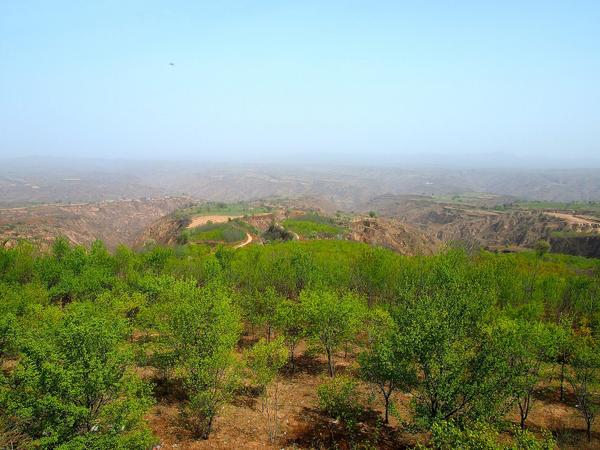 Loess Plateau