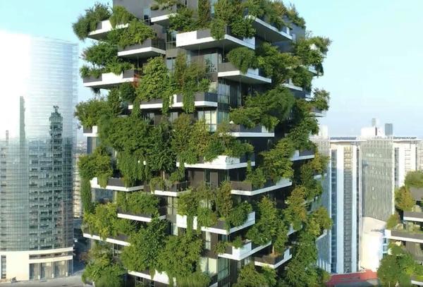 highrise with trees