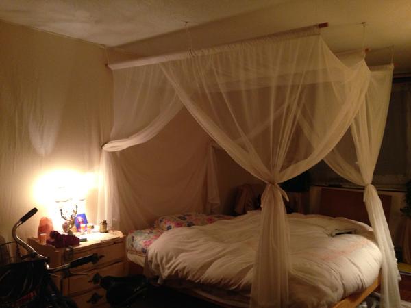 EMF Bed Canopy