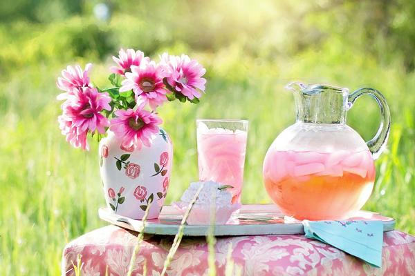 Summer pink lemonade picnic