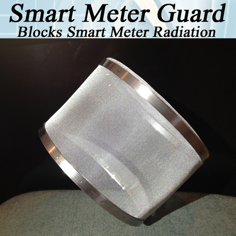 Smart Meter Guard