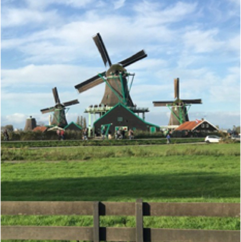 Windmills of Amsterdam