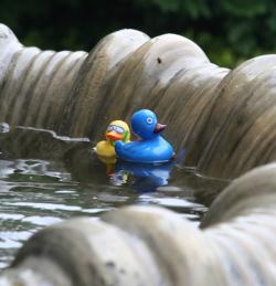 Rubber Ducks