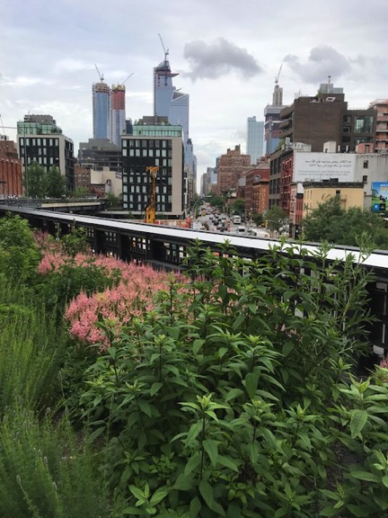 High Line NYC