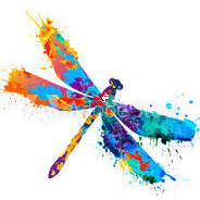 dragonfly logo 2020.png
