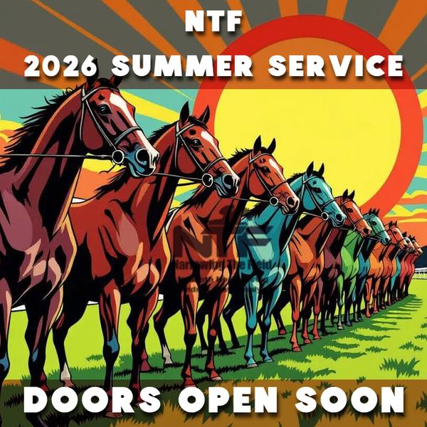 NTF Summer Service coming soon...
