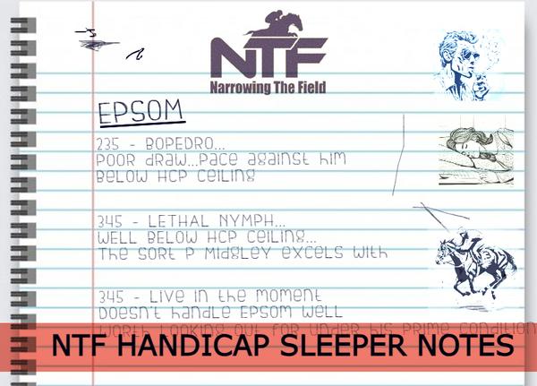 Handicap Sleeper Notes