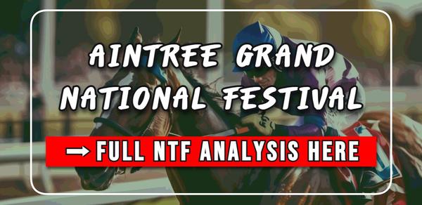 NTF FULL AINTREE ANALYSIS