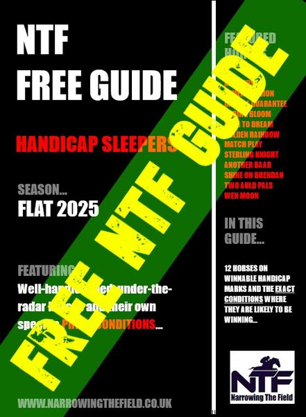 Free Handicap Sleepers Guide