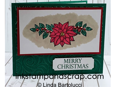 Poinsettia