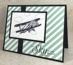 Sale-a-Bration Plane