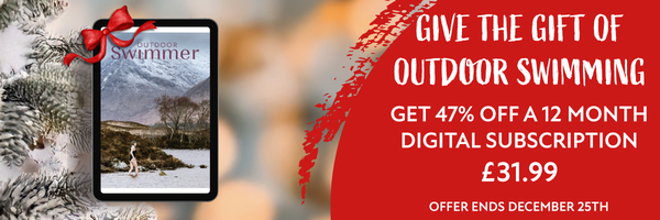 Christmas subs offer