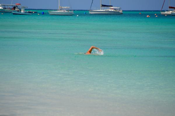 Swim Barbados