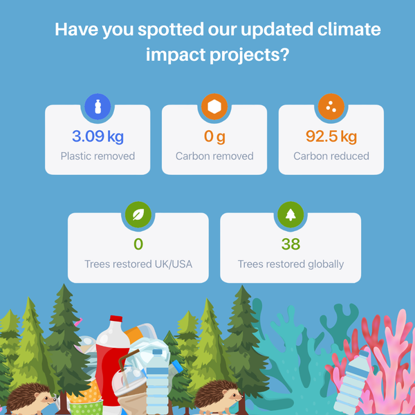 Climate Games leagues graphic
