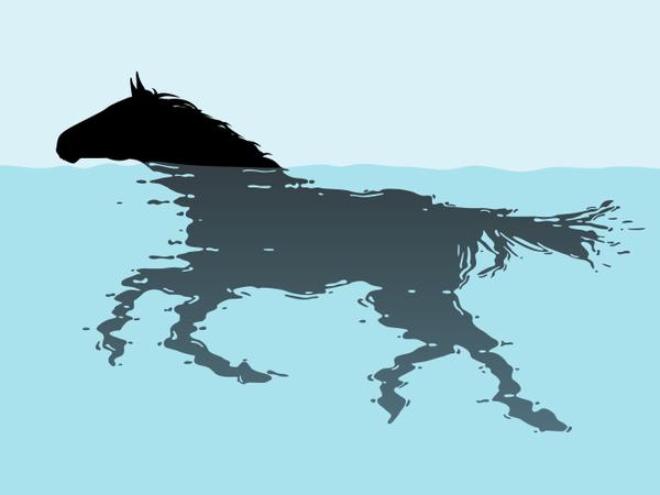 swimming horse