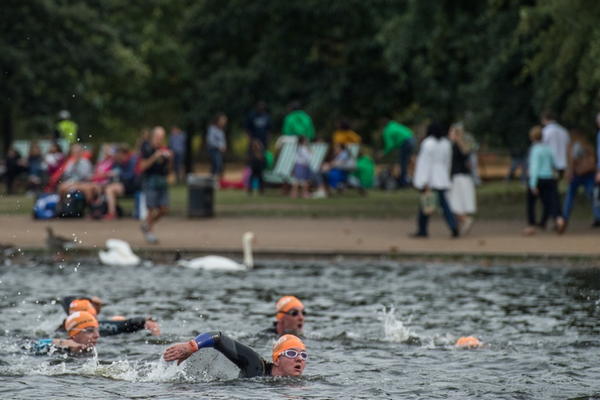 SWIM SERPENTINE REPORT