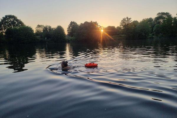 WHY WE MUST SWIM