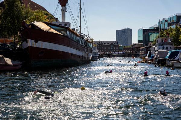 Copenhagen swim image