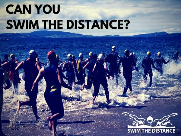 Swim the Distance