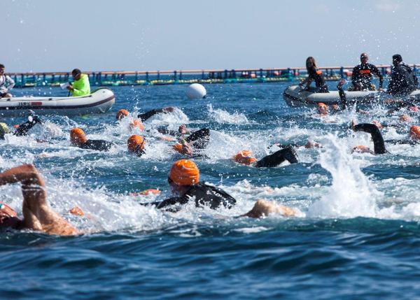 Outdoor Swimmer 