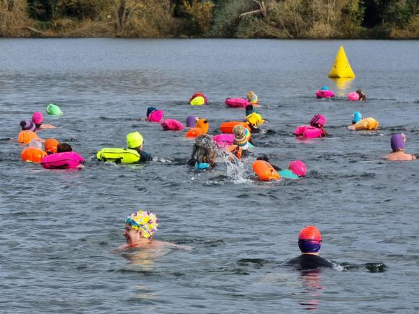 Lots of swimmers in a lake