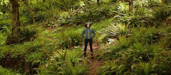 rainforest image shower pass uk