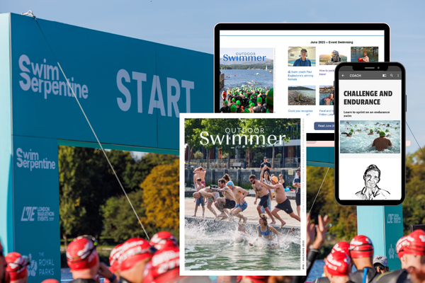 SWIM SERPENTINE OFFER