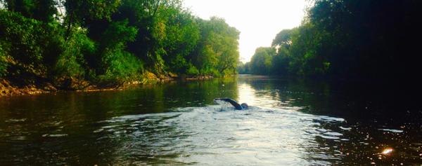 River Severn